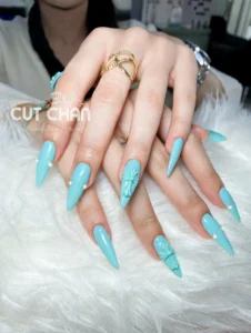 สีเล็บเจล